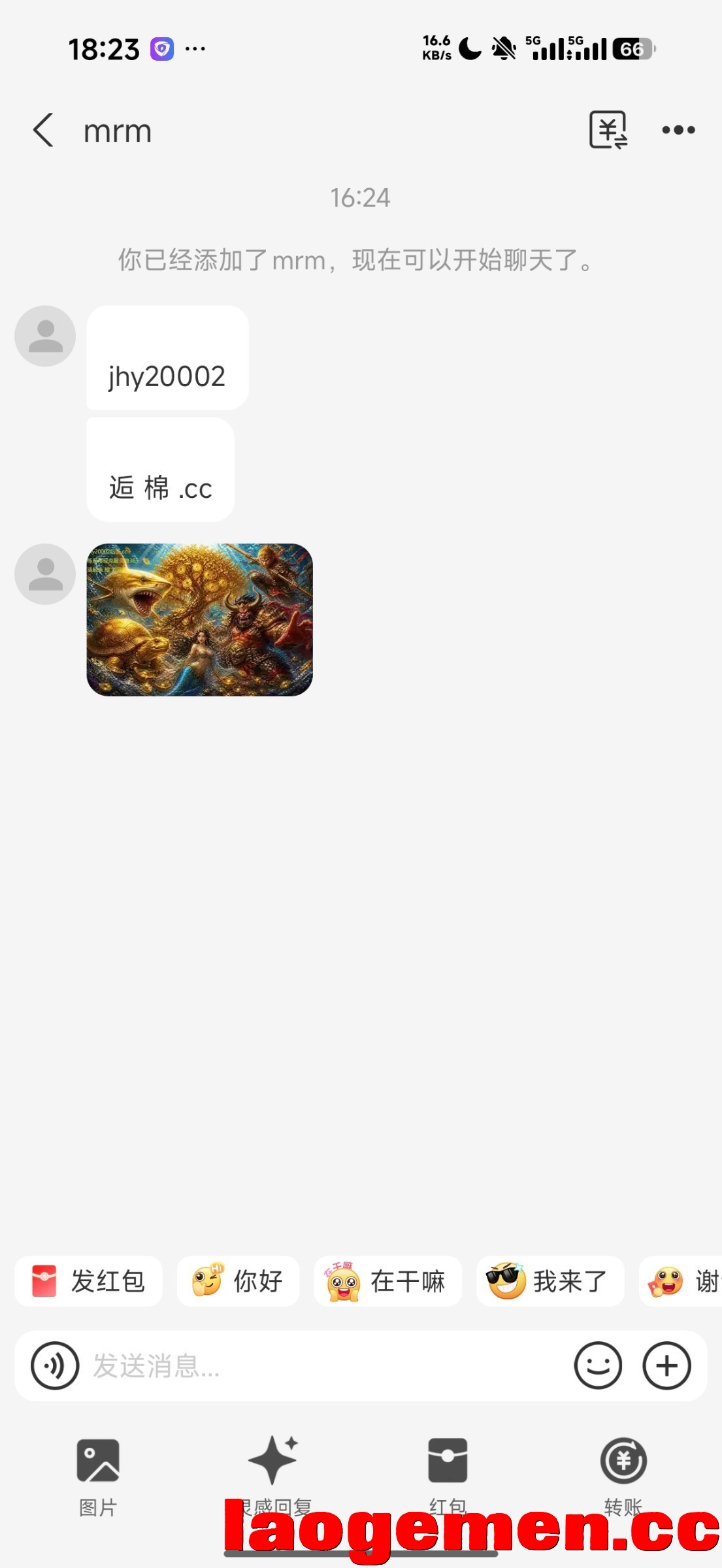 8008_RWR7QBAWZHEJJEH.jpg